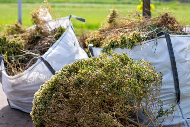 Best Household Junk Removal  in Blue Ridge, VA